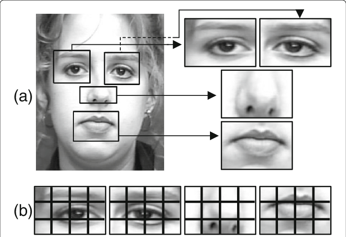 AI Uses Facial Expressions to Assess Personality Traits